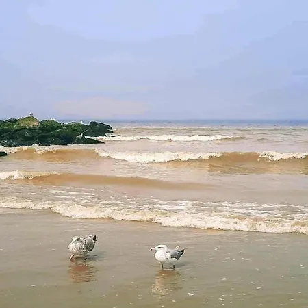 Seaview In Appartement *